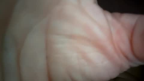 Snapshot of ethereumumm chatting on 31, 10, 2025 ethereumumm online show from 31, 10, 2025