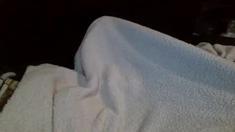 eu369033 online show from 25, 2, 2026