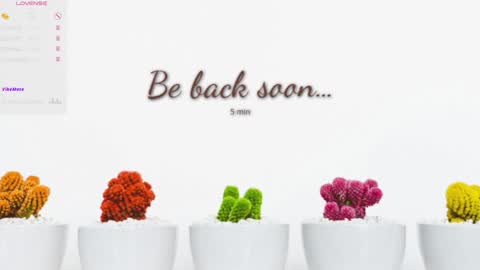 Eva online show from 15, 12, 2024