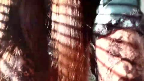 Snapshot of eva_depp chatting on 22, 1, 2025 Evaa Depp online show from 22, 1, 2025