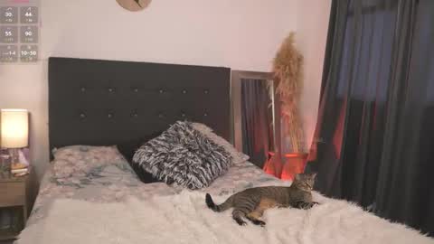 Snapshot of evajacksss_ chatting on 12, 2, 2026 evajacksss_ online show from 12, 2, 2026