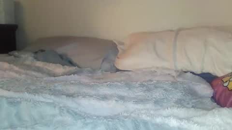 evangeline69xxx online show from 20, 2, 2026