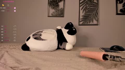 Snapshot of evaveenus chatting on 4, 3, 2025 evaveenus online show from 4, 3, 2025