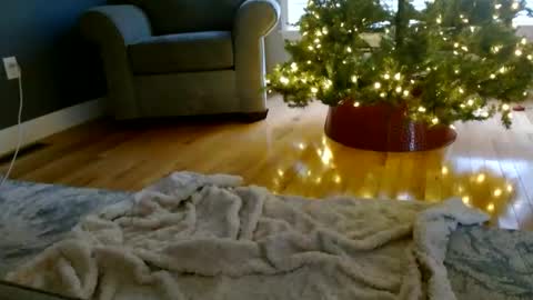 Snapshot of everleighmae chatting on 9, 12, 2024 Everleighmae online show from 9, 12, 2024