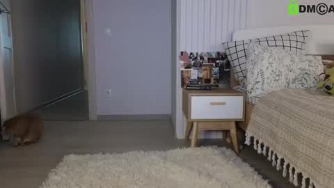 Snapshot of evi_woow chatting on 22, 2, 2025 evi_woow online show from 22, 2, 2025