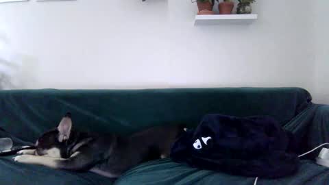 Snapshot of evillers1 chatting on 27, 10, 2025 Badblondebunny online show from 27, 10, 2025