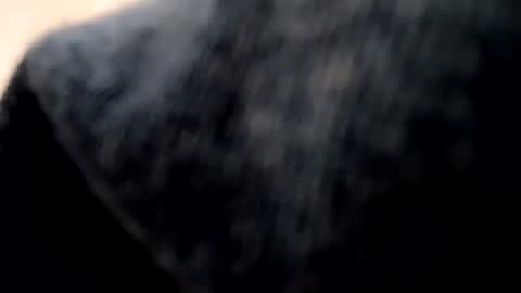 Evocation online show from 7, 1, 2025