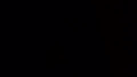 Evocation online show from 11, 2, 2025