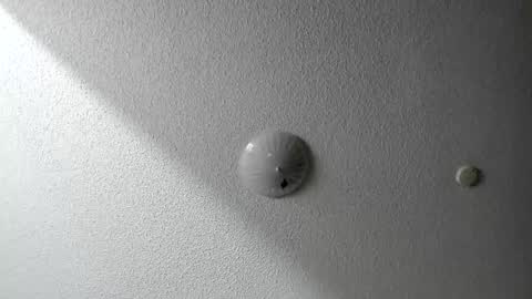 Snapshot of evparrish chatting on 20, 1, 2025 EV Parrish online show from 20, 1, 2025