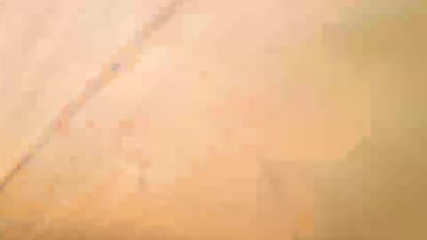 Exhibboytoy3 online show from 16, 5, 2026