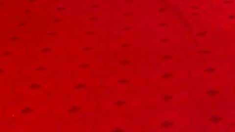 Snapshot of experiencedalana chatting on 9, 12, 2024 Alana online show from 9, 12, 2024