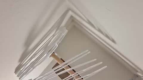 eyyoboobo0 online show from 17, 4, 2026