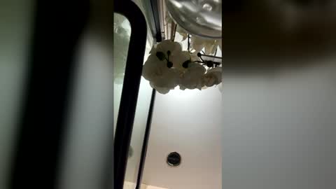 fabiolacal11 online show from 28, 2, 2026