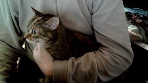 Fabius online show from 5, 2, 2025