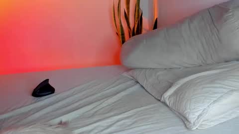 Snapshot of fabrizio_amery chatting on 3, 11, 2025 - A N D E R online show from 3, 11, 2025