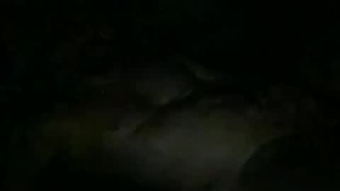 FABX online show from 10, 11, 2025