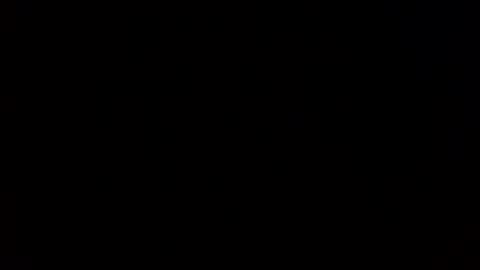 facesd online show from 11, 4, 2026