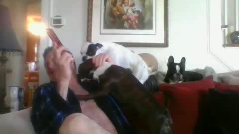 fairmount31 online show from 3, 3, 2025