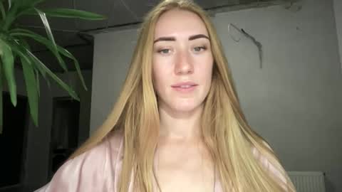 Snapshot of fairy_face chatting on 11, 9, 2025 fairy_face online show from 11, 9, 2025