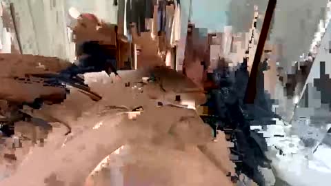 faried92 online show from 16, 9, 2025