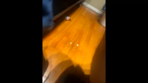 Snapshot of fatz71056 chatting on 16, 10, 2025 fatz71056 online show from 16, 10, 2025