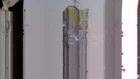 favouriteveronika online show from 14, 4, 2026