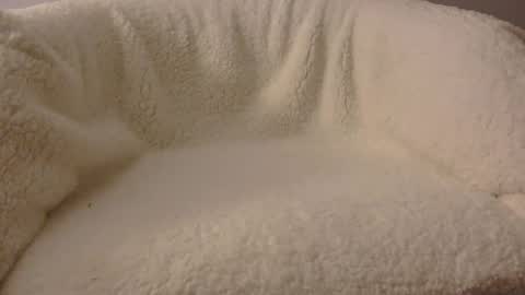 feels_too_good online show from 9, 4, 2026