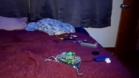 feetandmeat420 online show from 29, 10, 2025