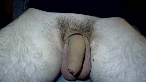 fekadam online show from 19, 4, 2026