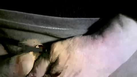 felicaste online show from 17, 2, 2025