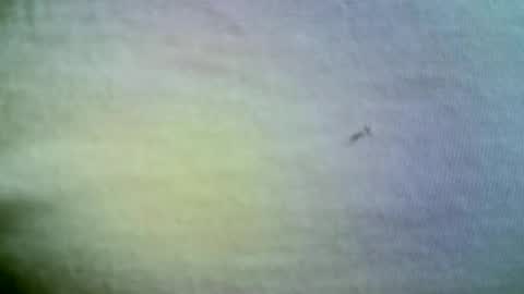 felicaste online show from 21, 4, 2026