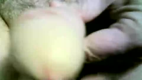 felicaste online show from 22, 4, 2026