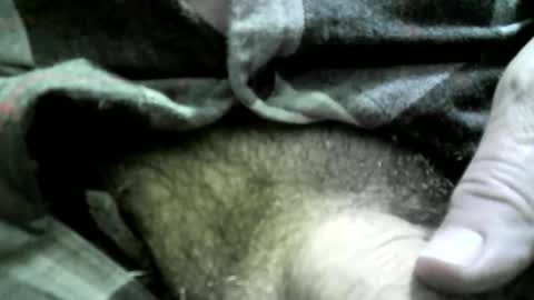 felicaste online show from 26, 4, 2026