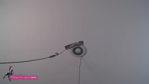 Felicia Hardon online show from 7, 7, 2026