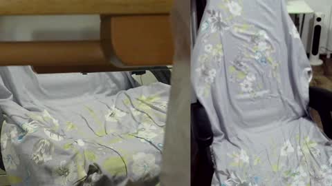 Snapshot of felixlau chatting on 9, 1, 2025 felixlau online show from 9, 1, 2025