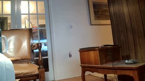 hungnsexy  online show from 17, 2, 2025