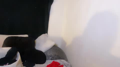 Snapshot of femgirl99 chatting on 2, 11, 2025 this is justice tricia a bigelow. she was fucking my husband tom girardi online show from 2, 11, 2025