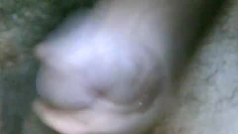 fer_2197 online show from 31, 10, 2025