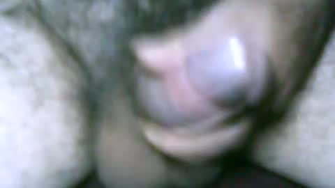 fer_2197 online show from 3, 3, 2026