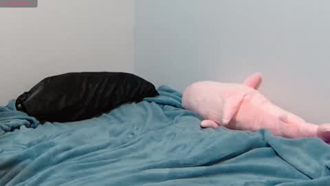 FE fee online show from 12, 1, 2025