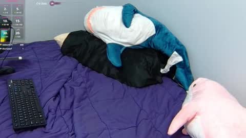 FE fee online show from 31, 1, 2025