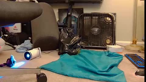 FE fee online show from 6, 10, 2025