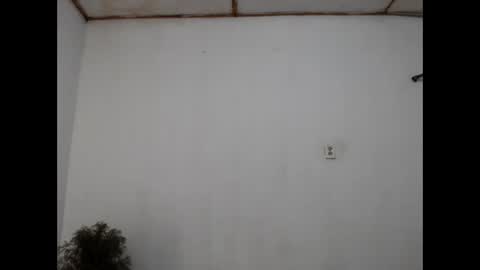 fernandez_latinblack online show from 31, 12, 2024