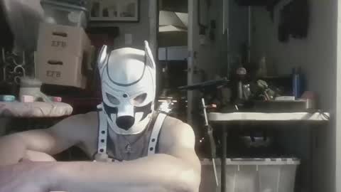 fetishsearch1abdl online show from 28, 9, 2025