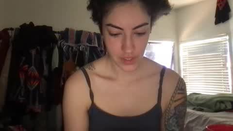 fgsammie online show from 4, 4, 2026