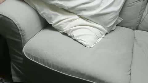 Fid online show from 16, 11, 2025