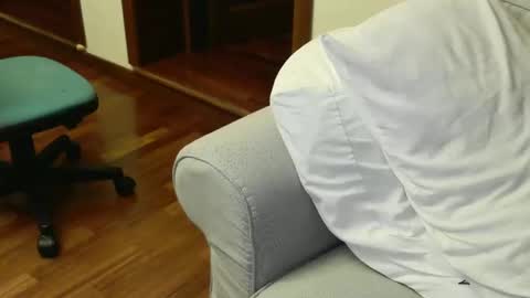 Fid online show from 24, 3, 2026