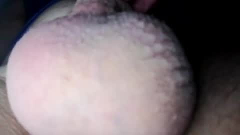 Nick online show from 11, 2, 2025