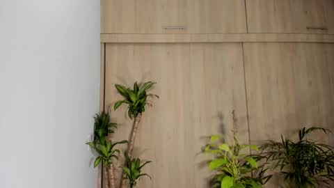 filletatouee online show from 16, 11, 2025