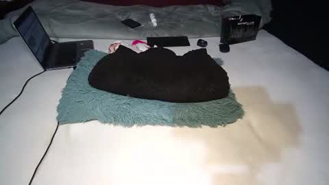 Rania online show from 10, 11, 2025